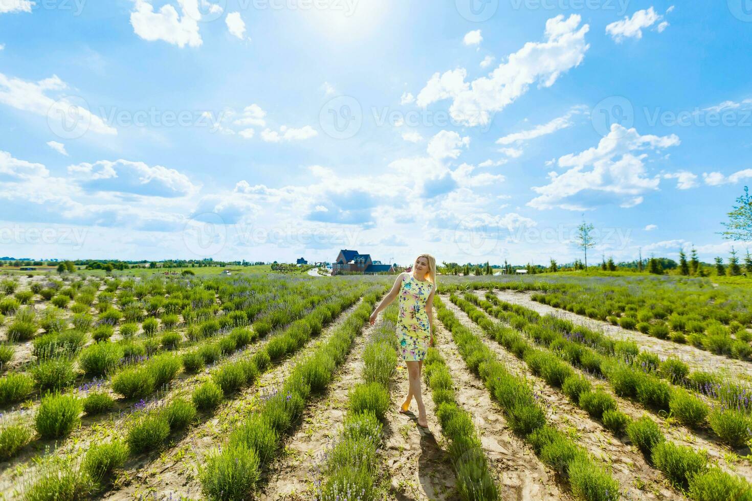 mujer en pie en un lavanda campo foto