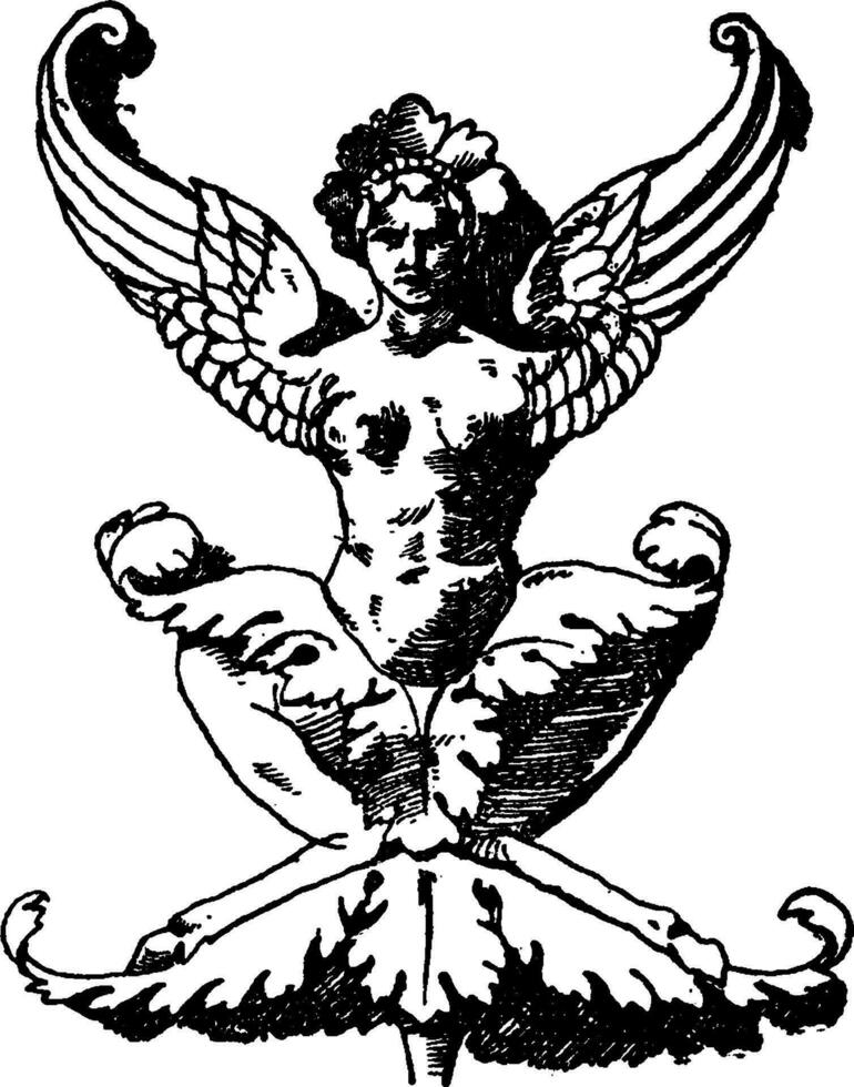Flying Grotesque Pilaster is a squatting winged female without arms, vintage engraving. vector