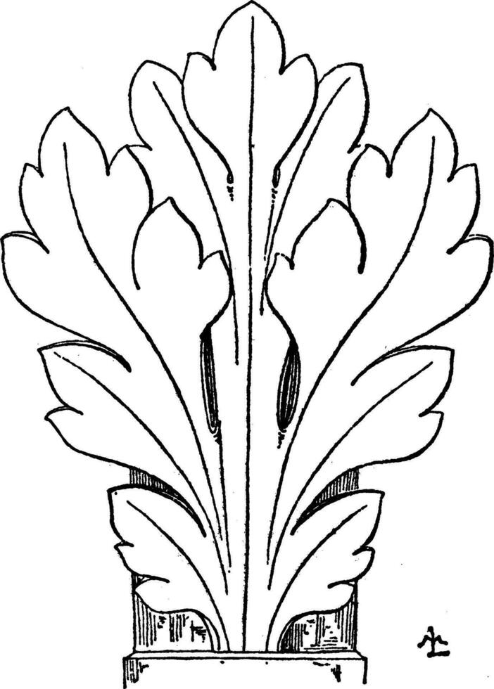 gótico hoja tiene un general naturalista estilo, Clásico grabado. vector