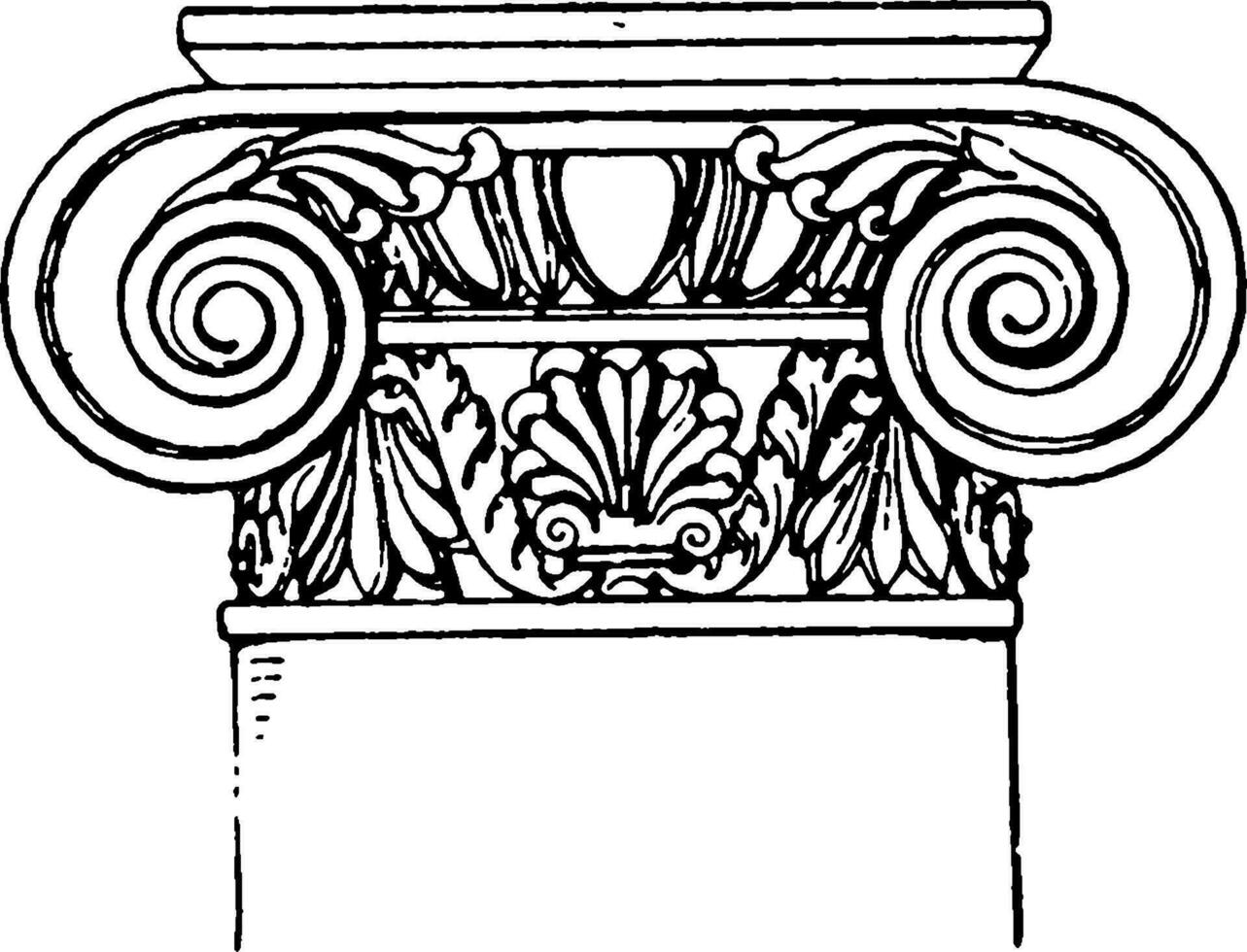 romano-iónico capital, un diseño de un Desplazarse arrollado en ambos lados, Clásico grabado. vector