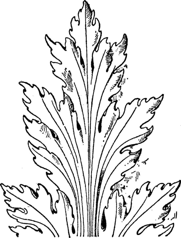 French Leaf Renaissance was found in a church in Epernay, vintage engraving. vector