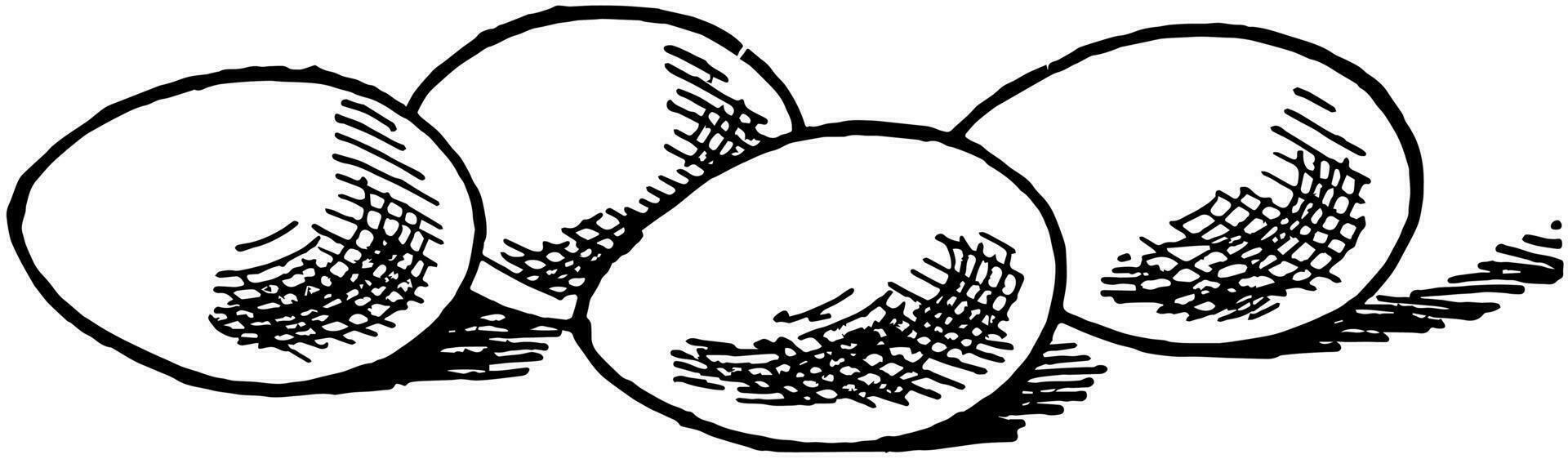 Eggs drums, vintage illustration vector