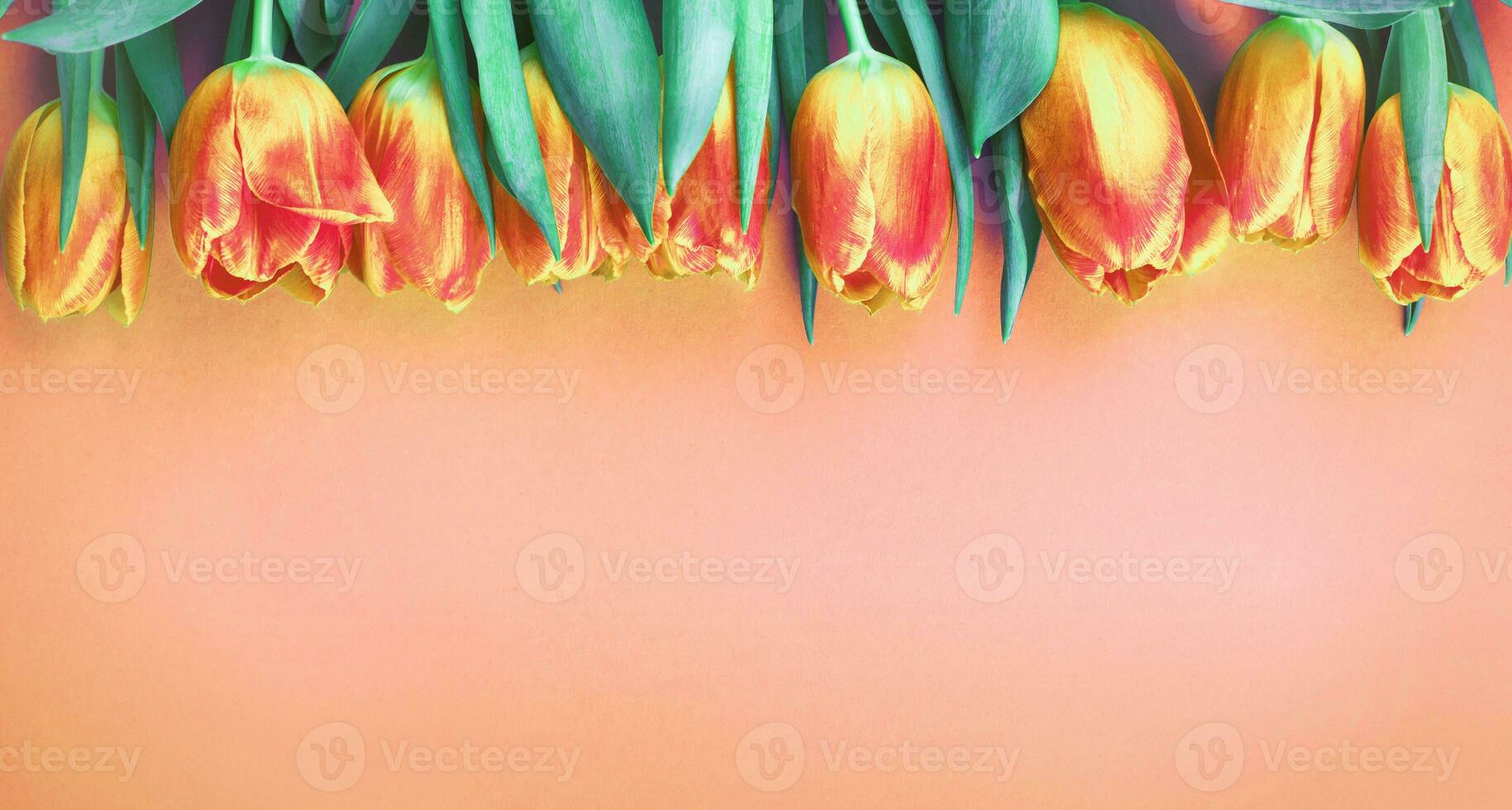 Peach Fuzz fresh flowers tulips background with copy space. Romantic composition. Flat lay, photo