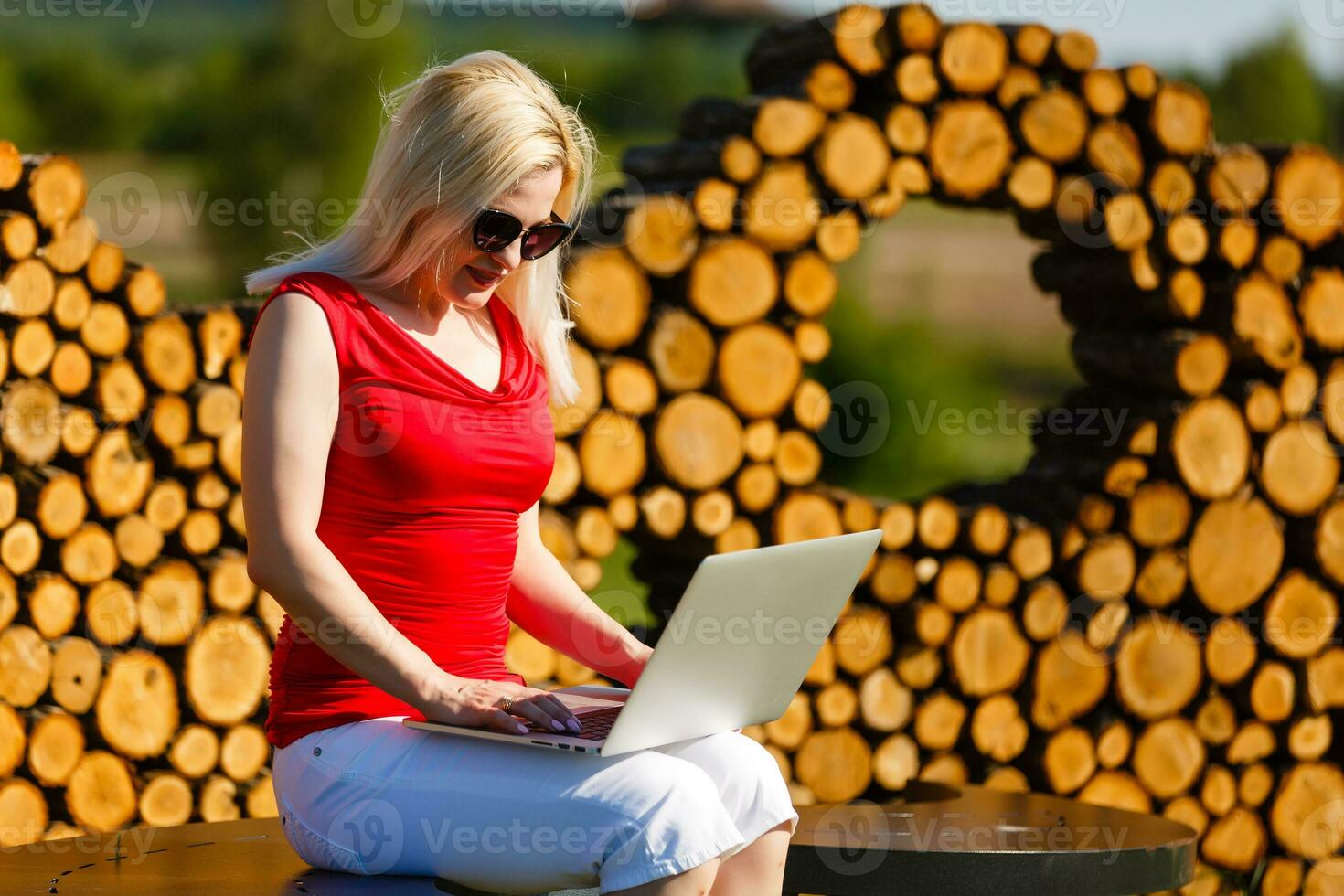 Euphoric woman searching job with a laptop in an urban park in summer photo