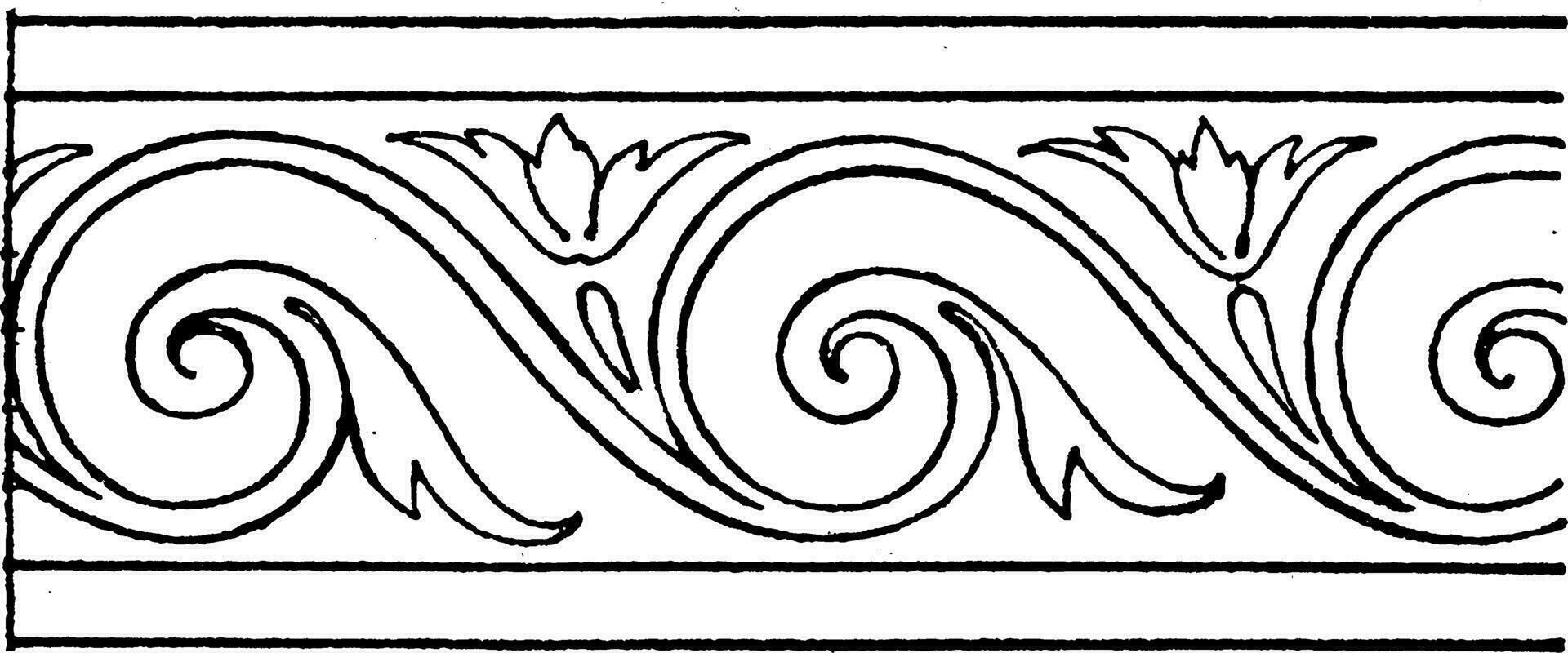 evolucionar espiral estufa loseta es un pintura durante el alemán Renacimiento, Clásico grabado. vector