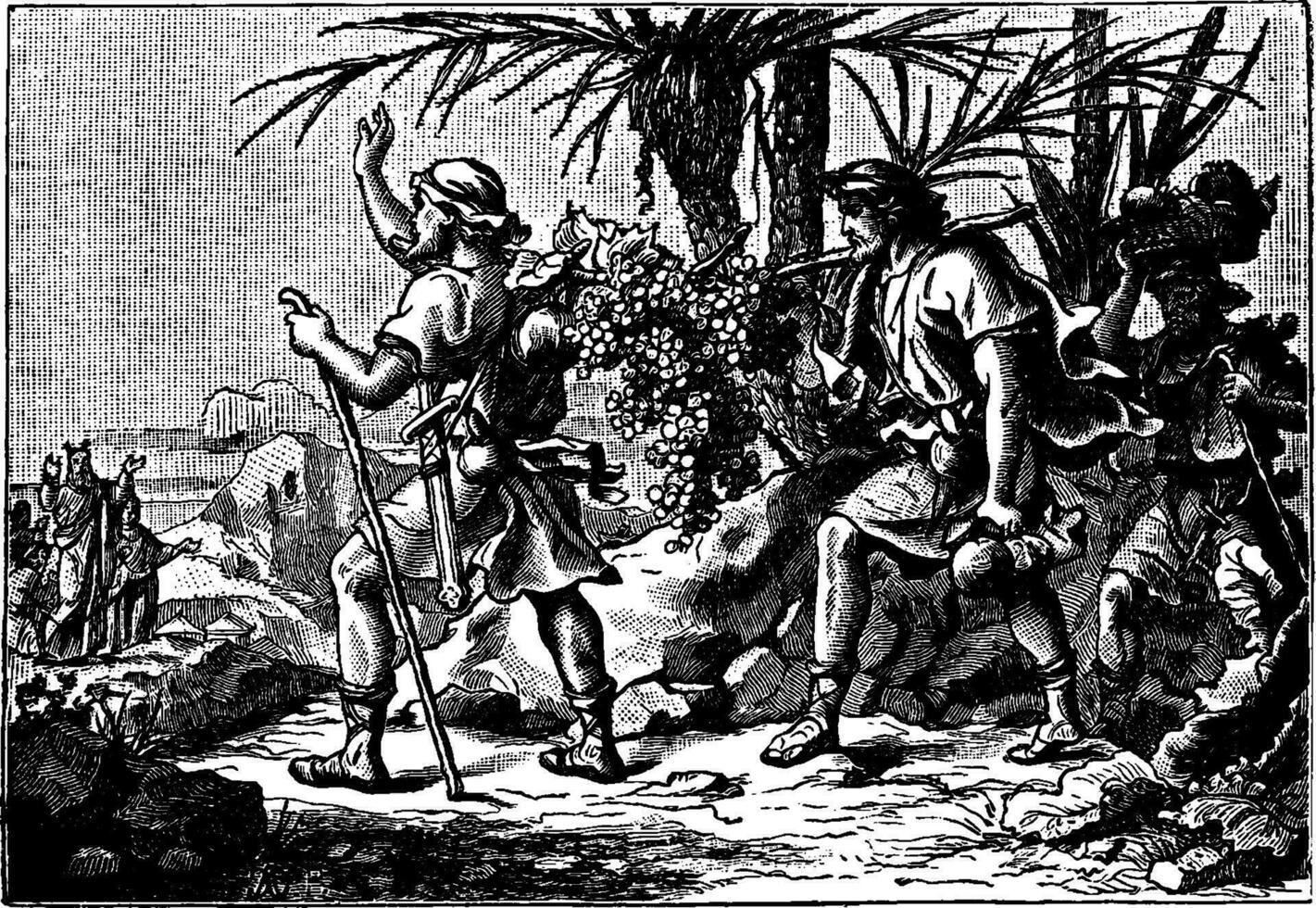 Joshua and Caleb Return from Canaan with the Other Spies vintage illustration. vector