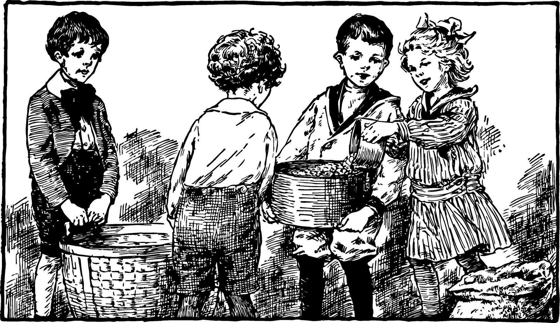 Measuring Grains or quarts, vintage engraving 35483786 Vector Art at Vecteezy