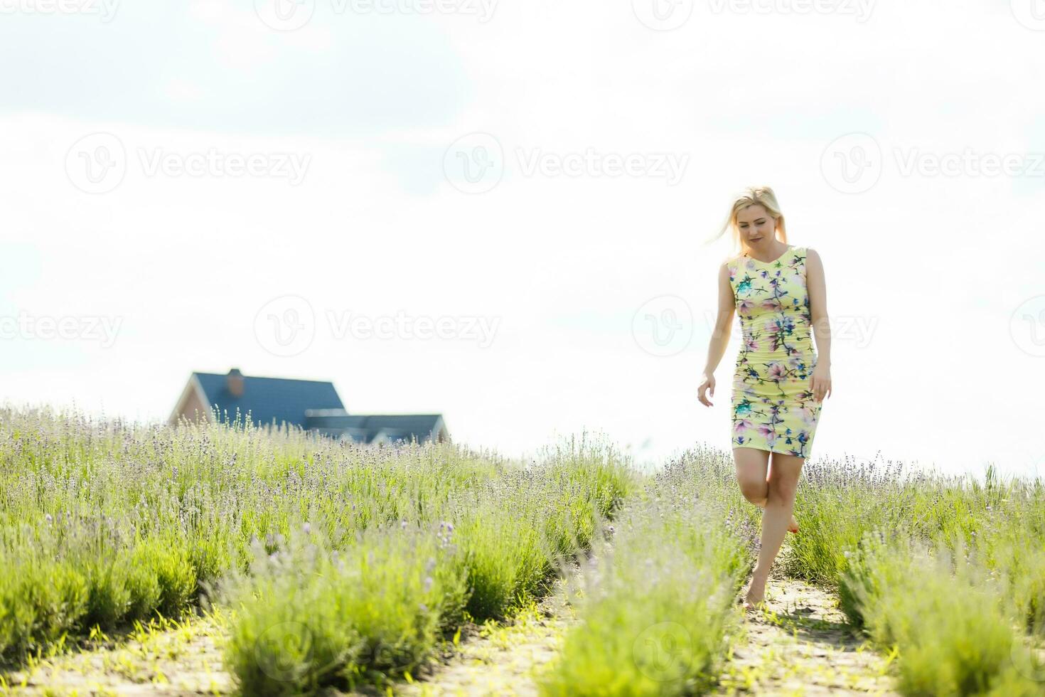 mujer en pie en un lavanda campo foto