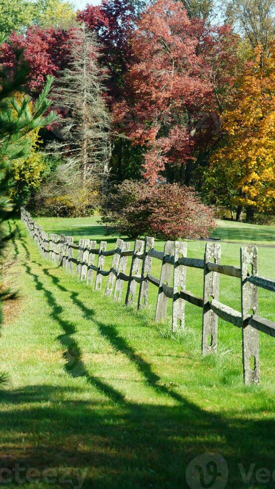 The wood fence view with the green meadow and colorful trees as background in autumn photo