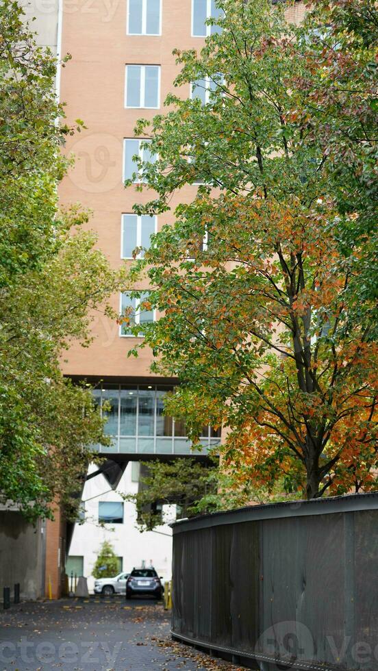 The beautiful campus autumn view with the colorful trees and leaves in the rainy day photo