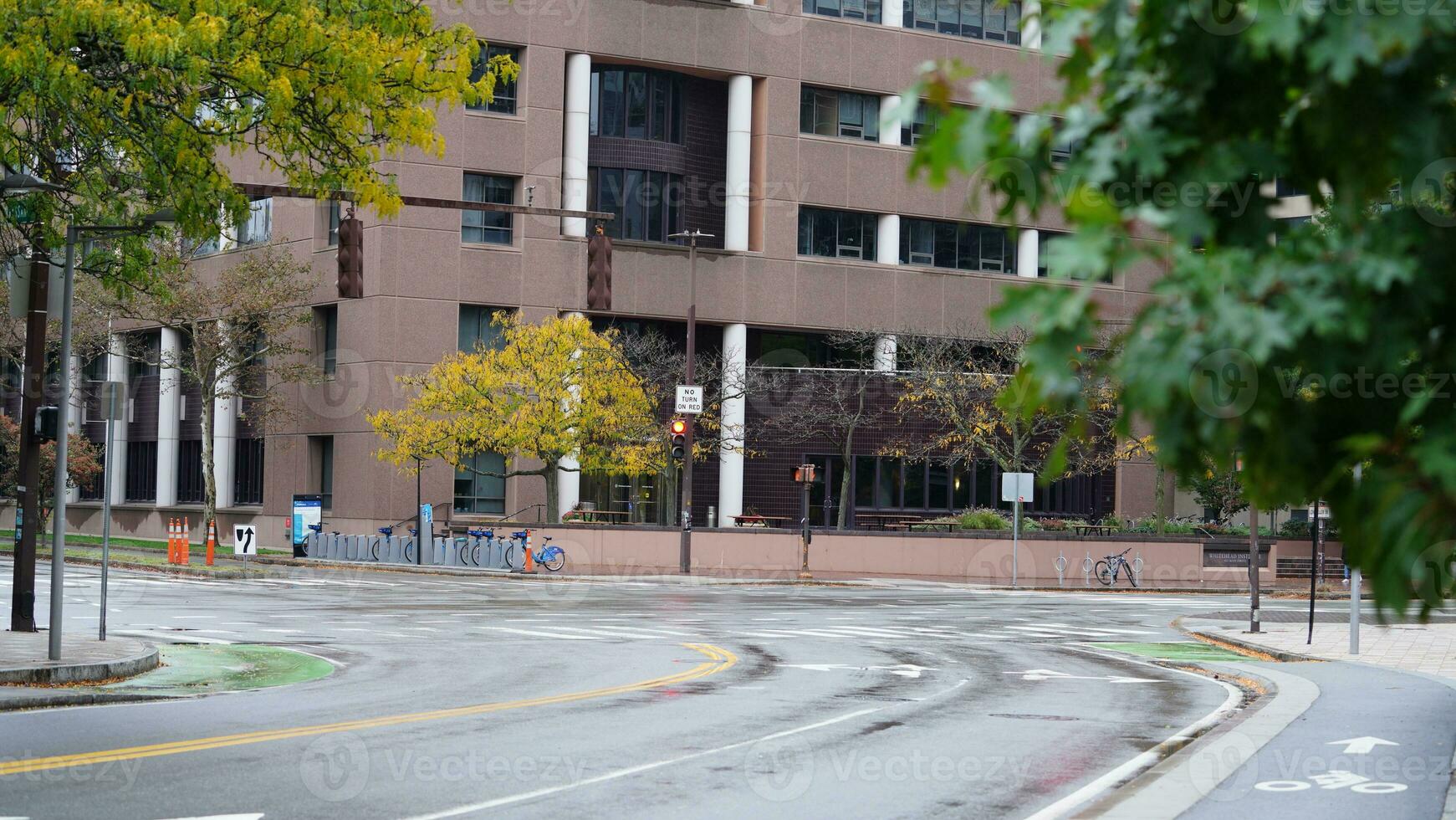 The beautiful campus autumn view with the colorful trees and leaves in the rainy day photo