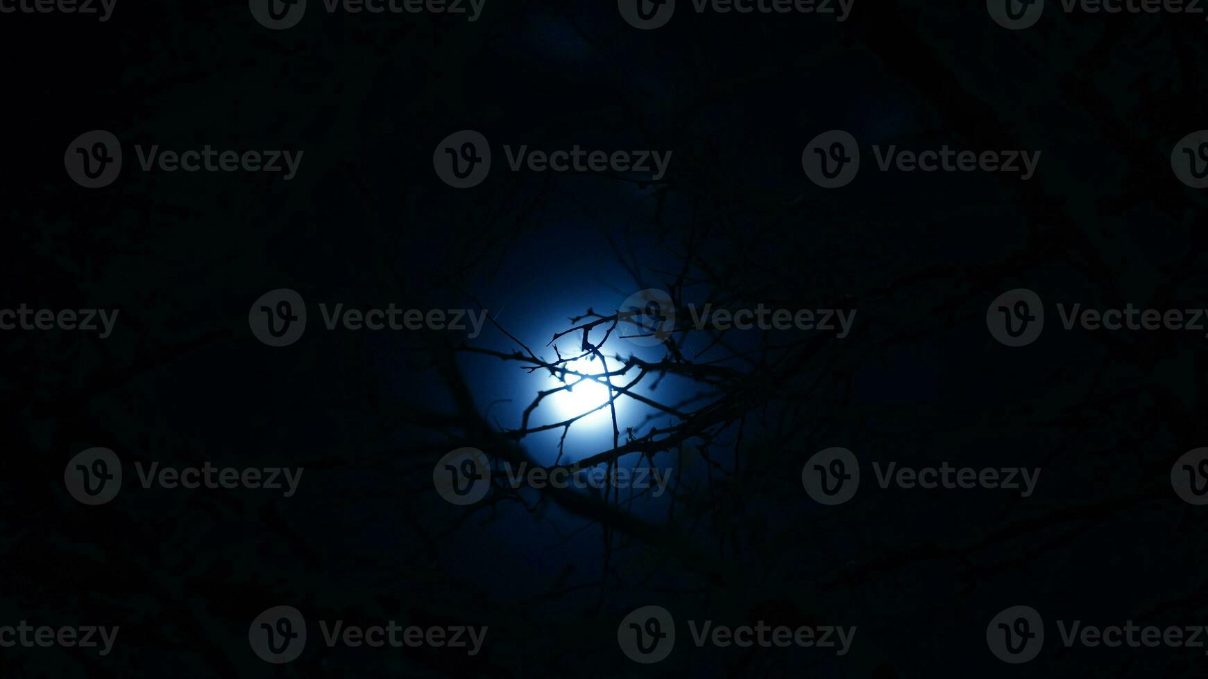 The moon night view with the full moon and clouds in the sky photo