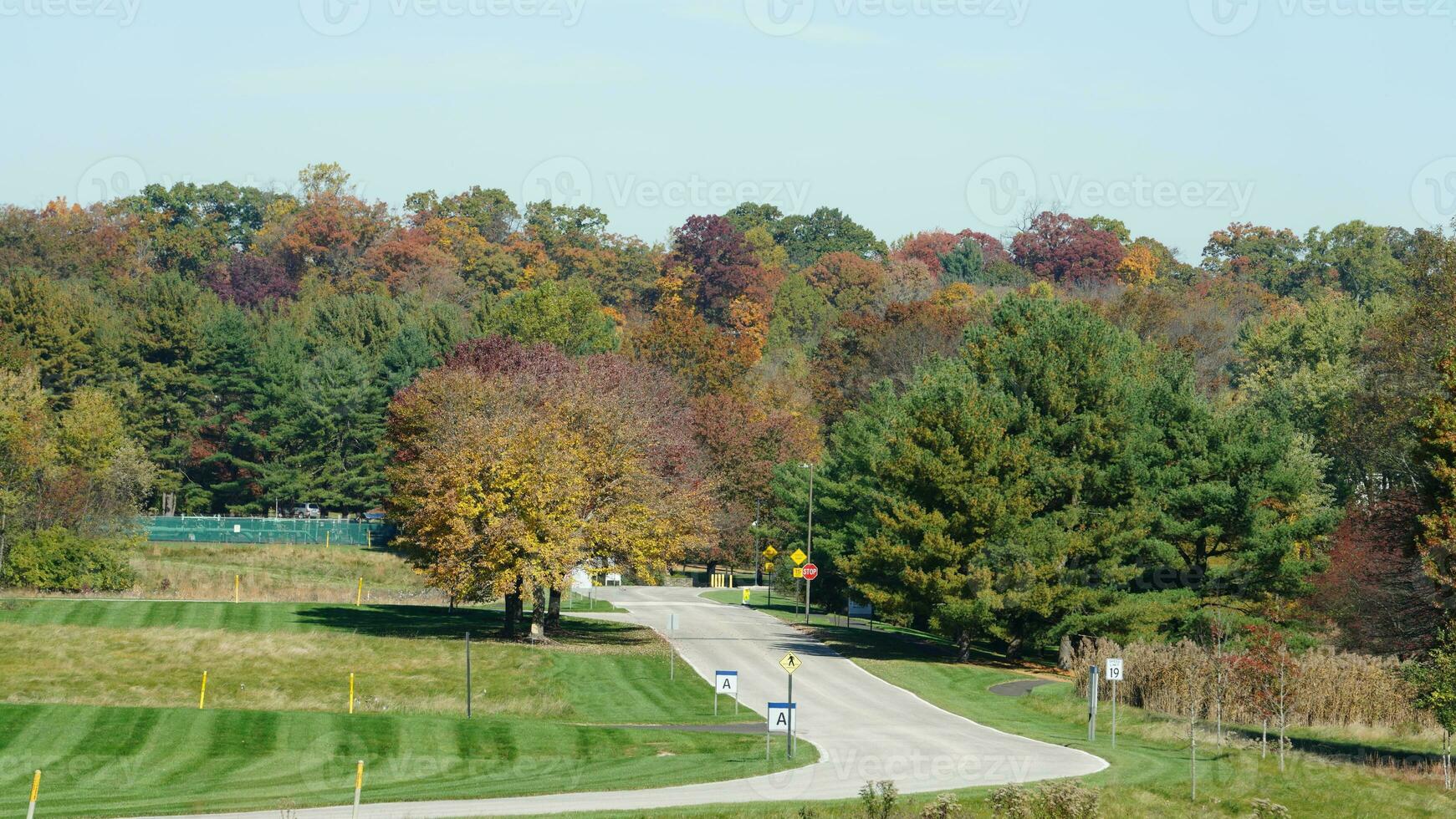 The beautiful autumn view with the colorful trees and leaves in the park photo