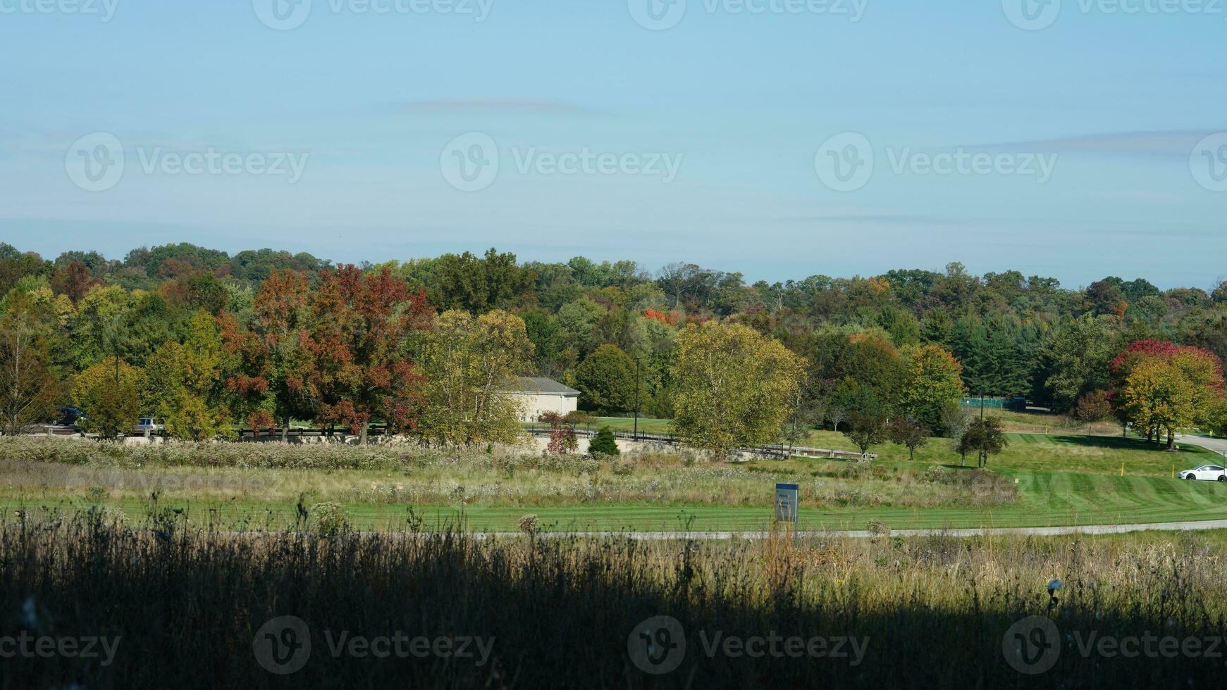 The beautiful autumn view with the colorful trees and leaves in the park photo