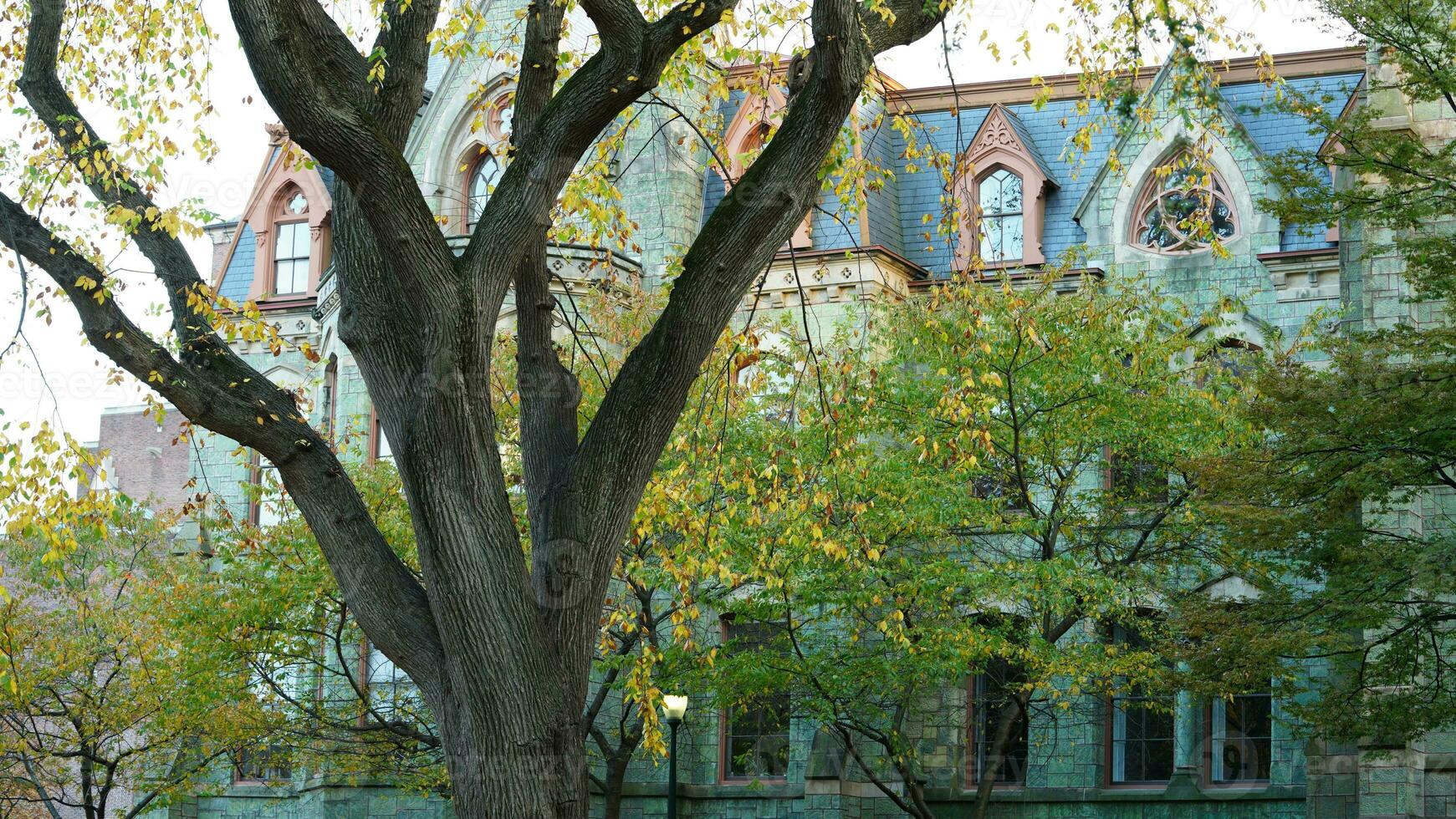 The beautiful campus view with the colorful trees and leaves in autumn photo