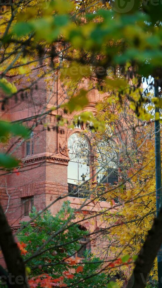 The beautiful campus view with the colorful trees and leaves in autumn photo