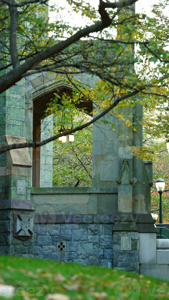 The beautiful campus view with the colorful trees and leaves in autumn photo