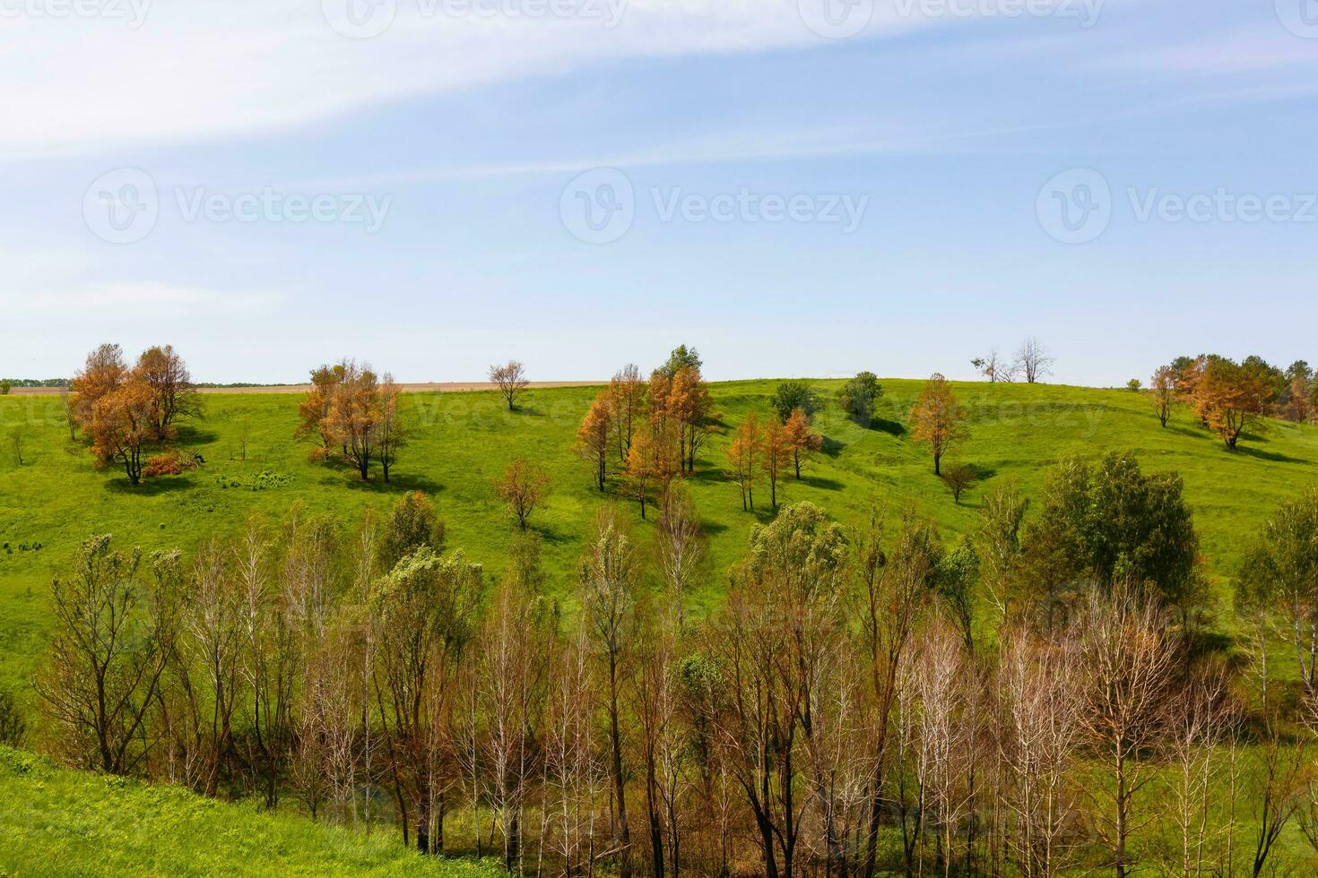 wide green fields with a gorge photo