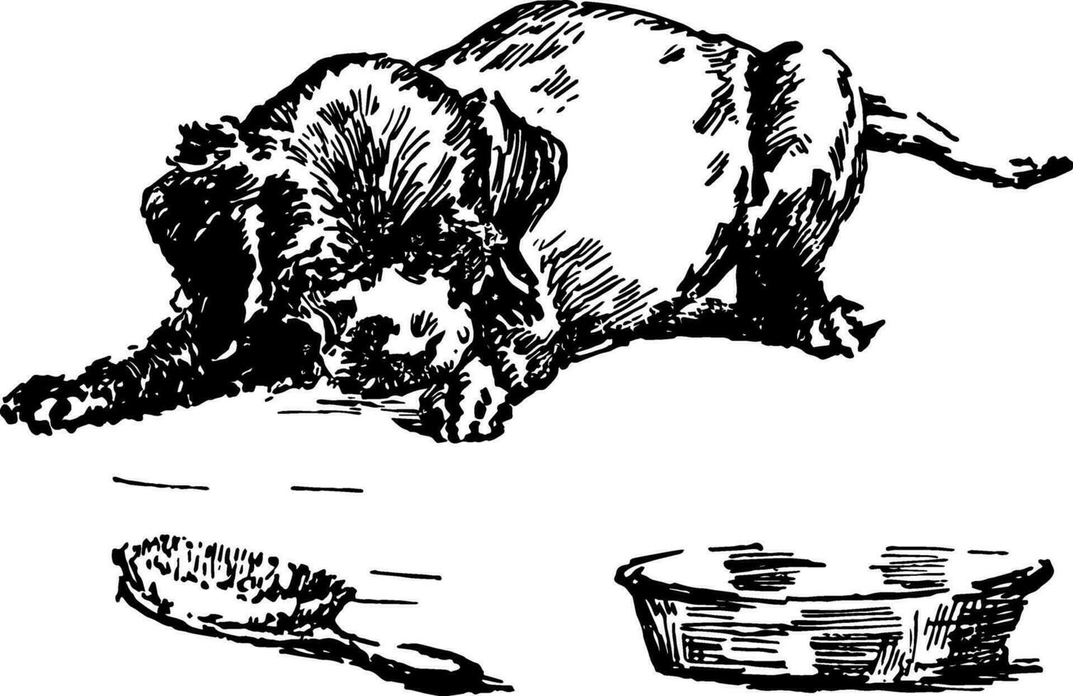 Puppy, vintage illustration. vector