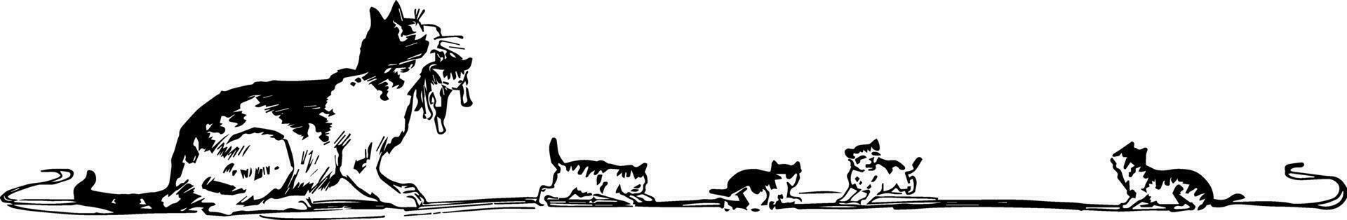 Cat Banner have a mother cat and her kittens, vintage engraving. vector