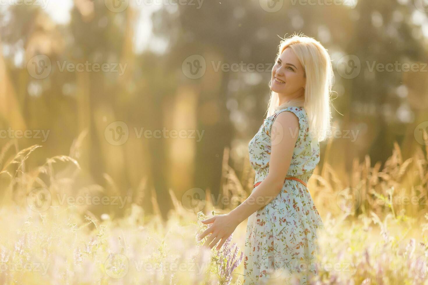 beautiful girl in a summer field photo