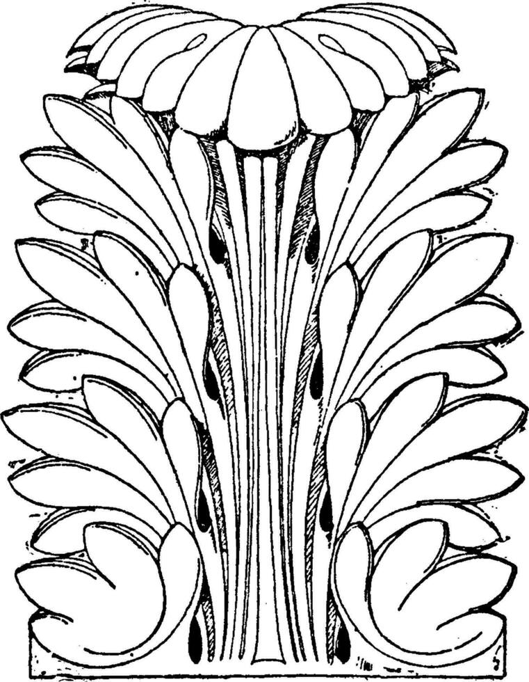 romano hoja es mostrado como un capital de un columna en panteón, Clásico grabado. vector