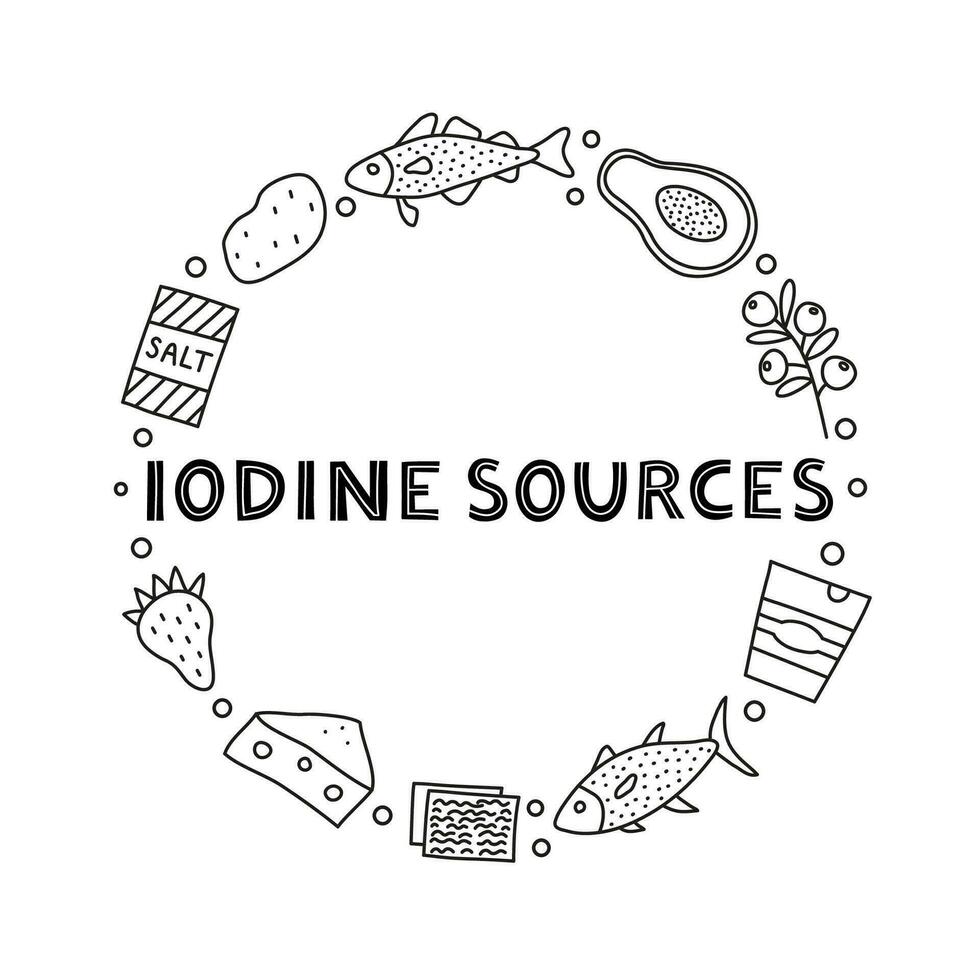 Doodle outline iodine foods sources in circle. vector