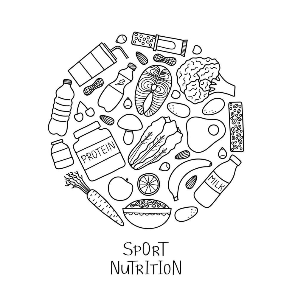 garabatear deporte nutrición artículos en círculo. vector
