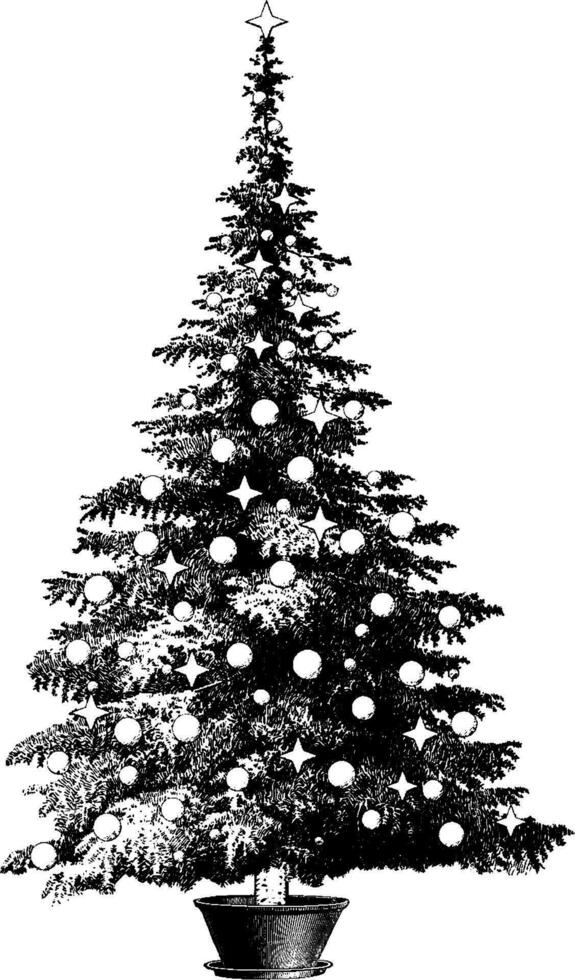 decorado en conserva pino árbol Clásico ilustración. vector