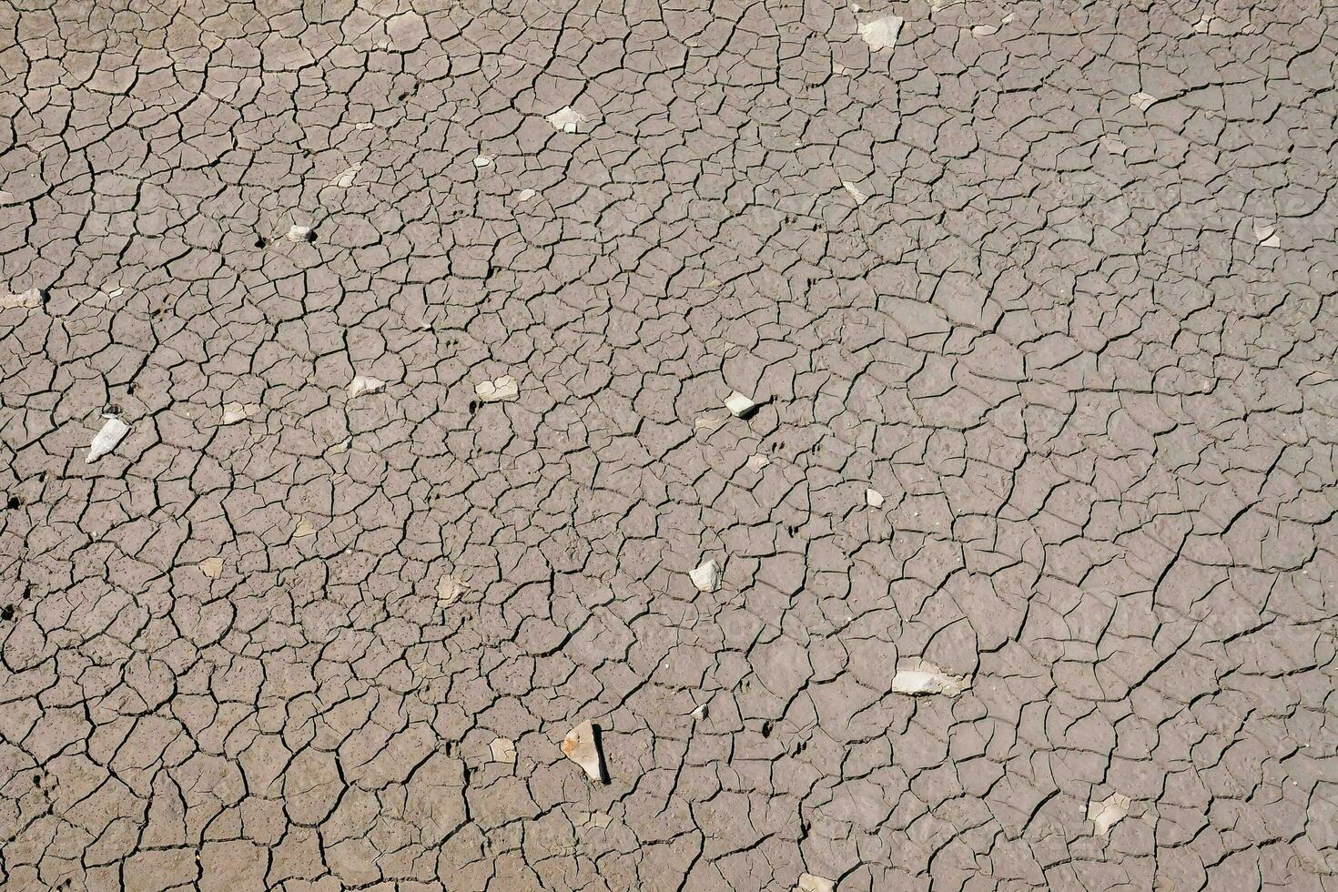 Rocky texture closeup photo