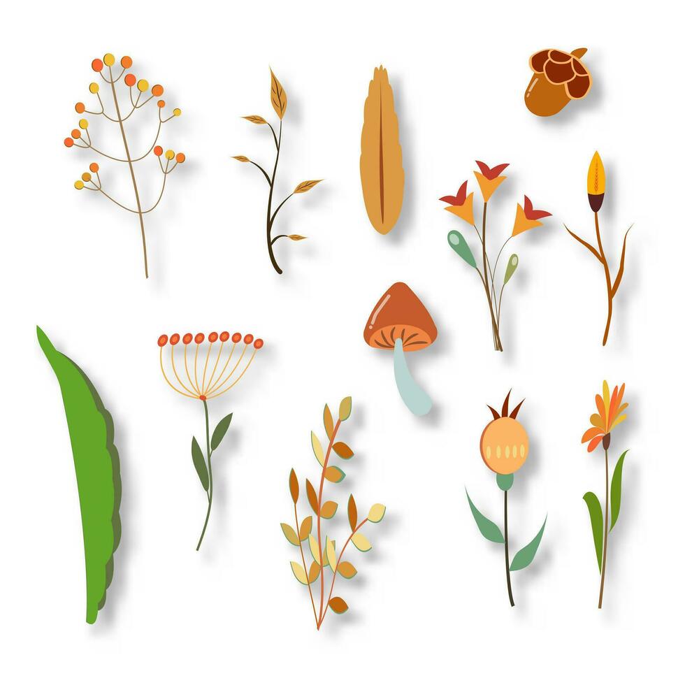 Autumn Collection of floral elements for your graphic design. Vector illustration EPS 10.