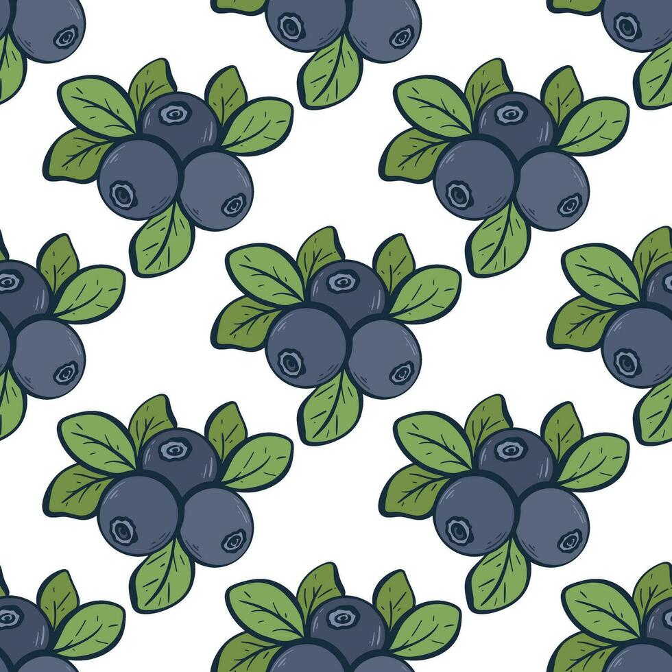 Color hand engraved blueberry seamless pattern vector