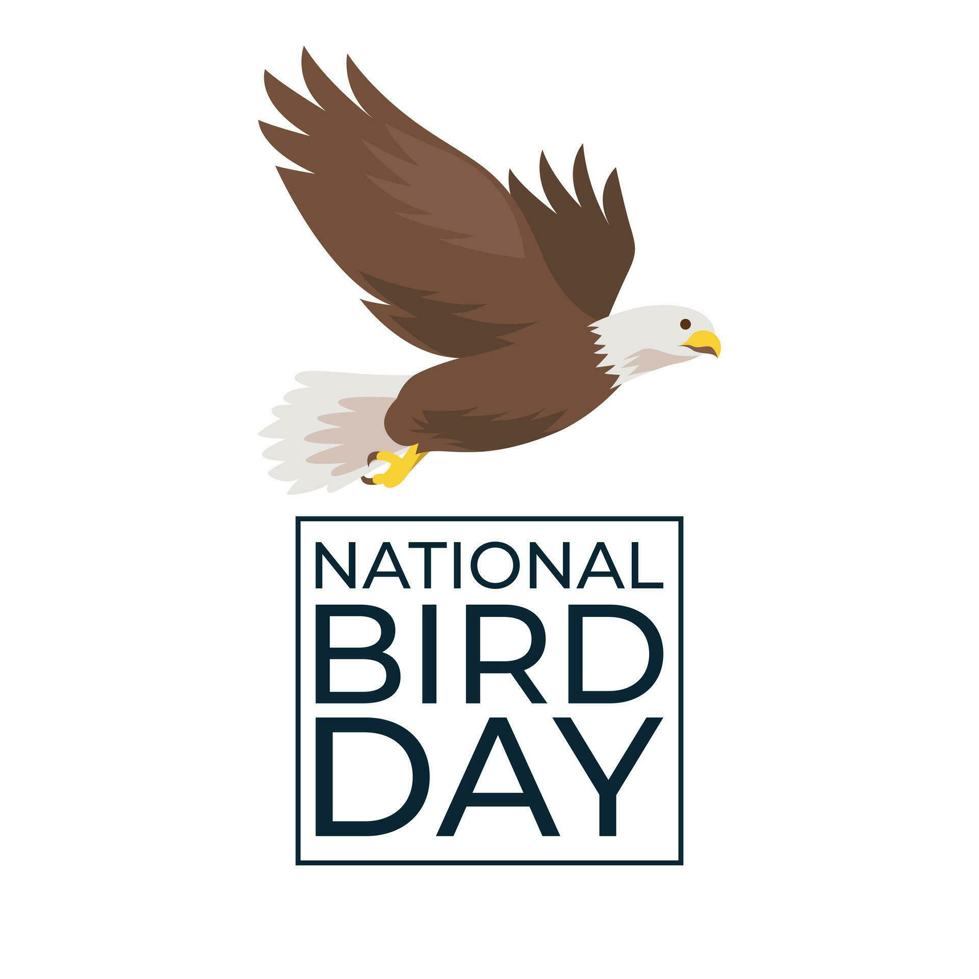 Feathered Elegance. Celebrate National Bird Day with this Stunning Vector Design Template
