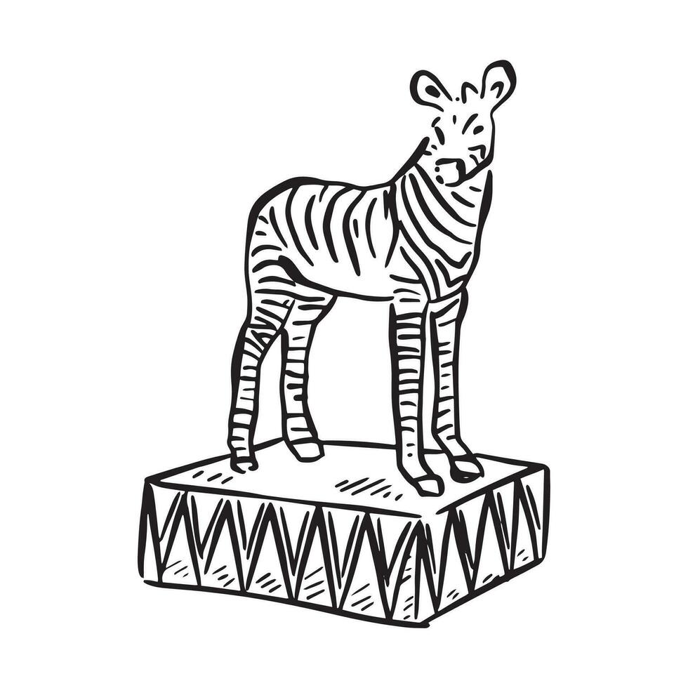 un mano dibujado línea ilustración de un cebra en un pedestal, inspiración tomado desde antiguo colegio circos. vector
