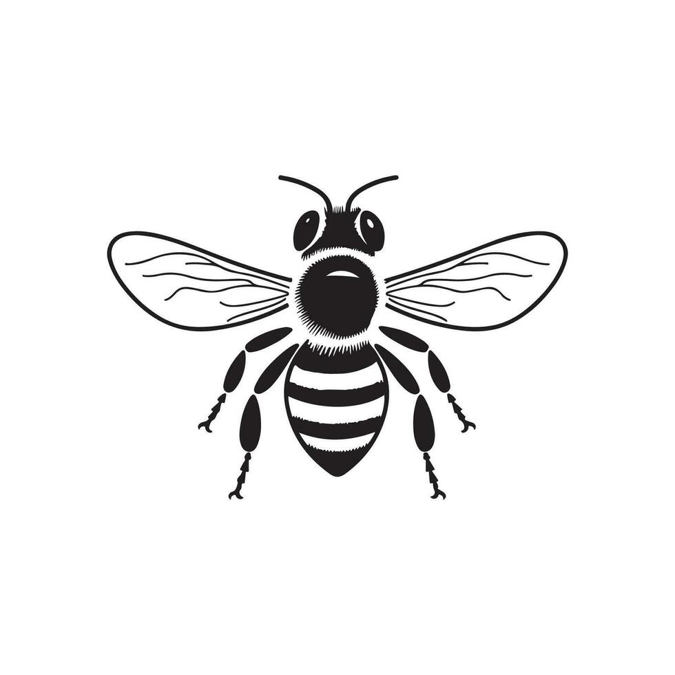 Bee Illustration Vector, Design, Art and Logo vector