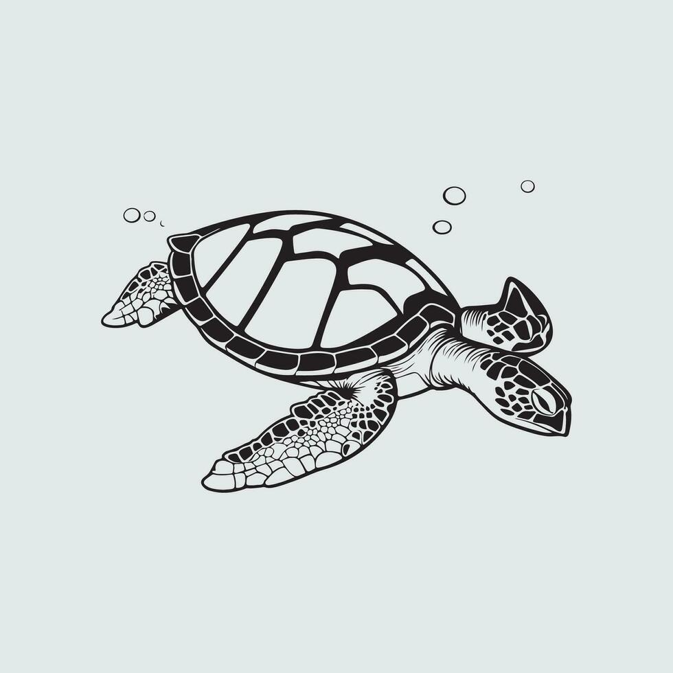 Turtle Vector Images