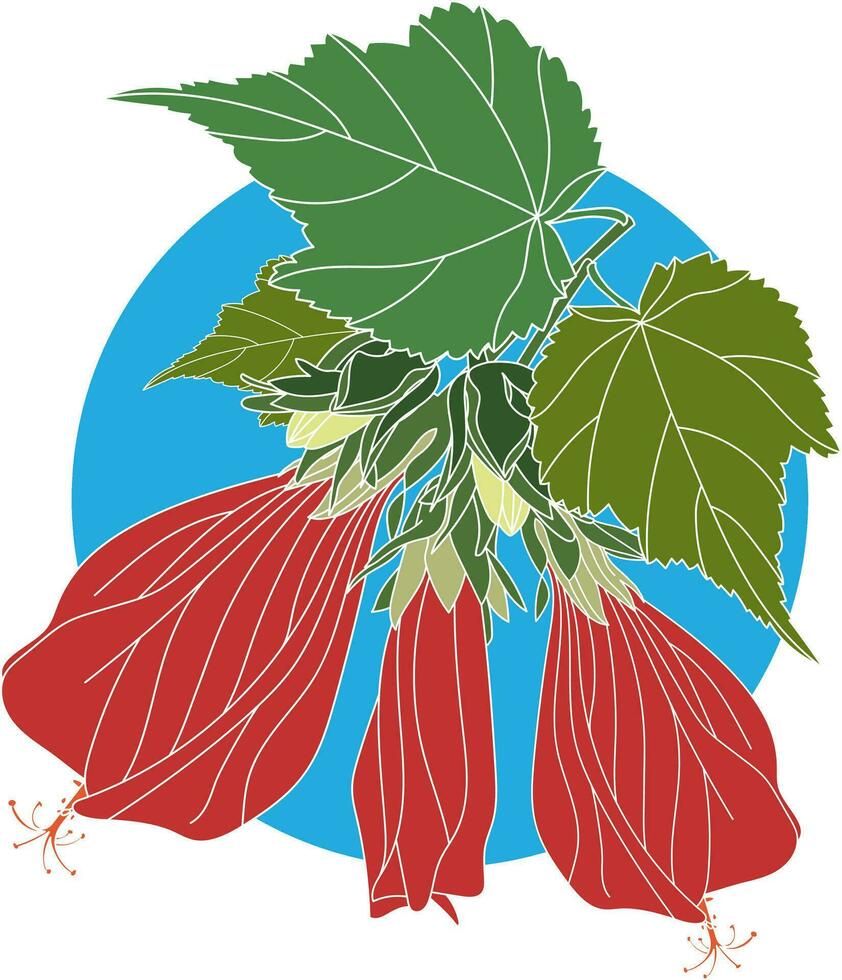 Illustration of Sleeping hibiscus, Wax Mallow flower with leaf on blue circle background. vector