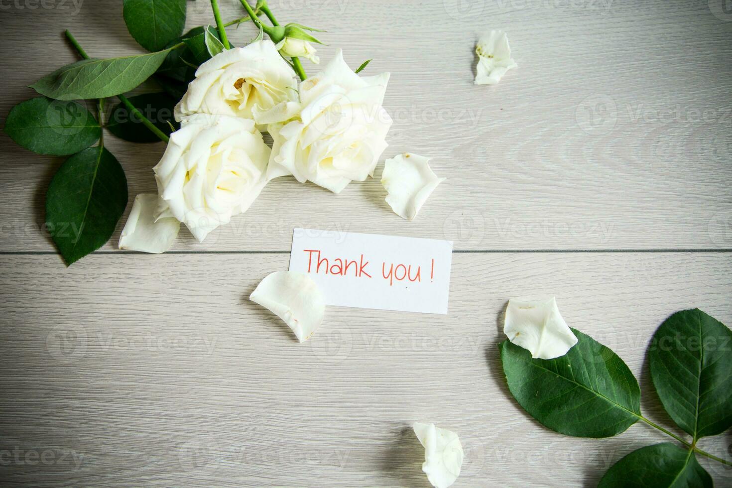 background of many white roses on a light wooden photo