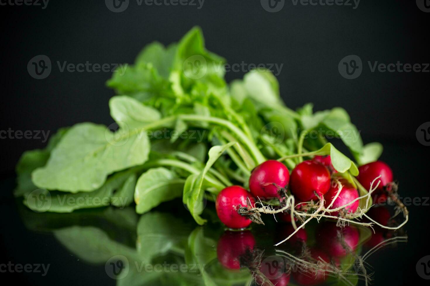 Fresco natural orgánico maduro rábano en negro antecedentes foto