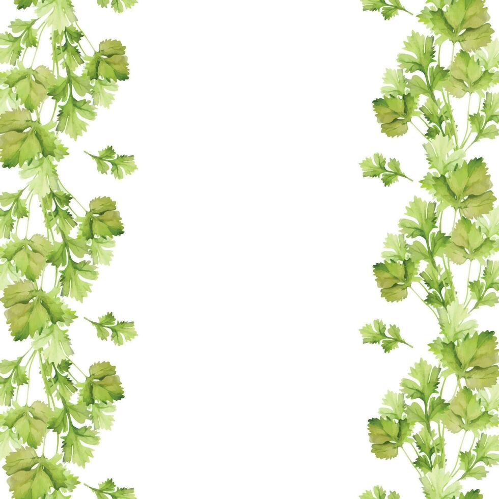 mano dibujado acuarela verde cilantro perejil hierba para dieta y sano estilo de vida, vegano cocinando. ilustración frontera marco aislado en blanco antecedentes. diseño póster, imprimir, sitio web, tarjeta, menú vector