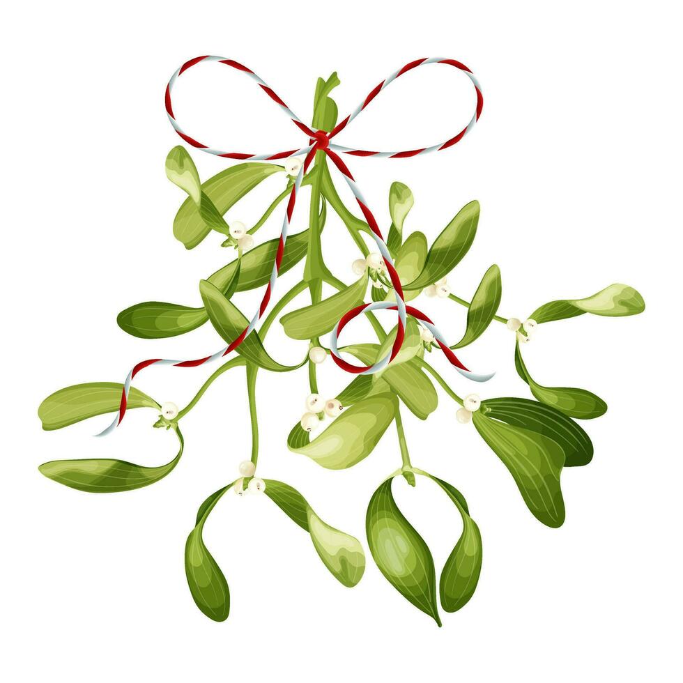 A bouquet of mistletoe with a ribbon. Christmas decoration. Stock vector illustration.