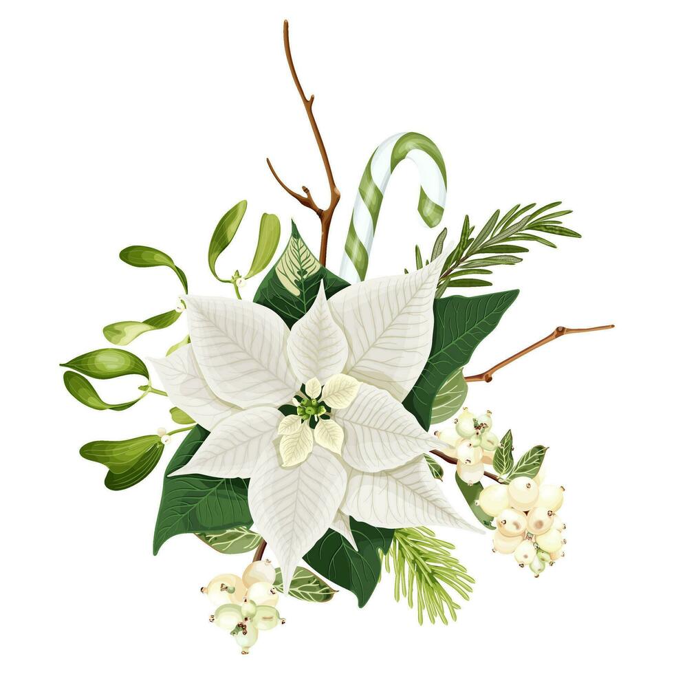 Christmas bouquet with white poinsettia flowers, rosemary, snowberry, candy canes, fir branches and mistletoe. vector