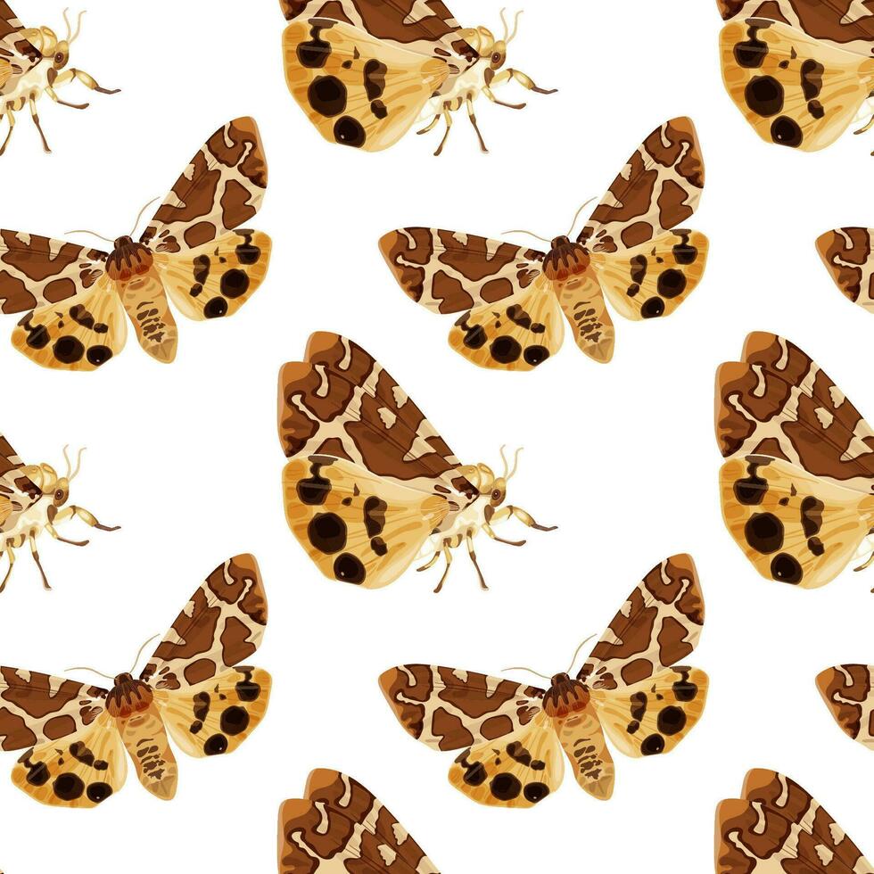 Seamless pattern with brown moth. Nocturnal tropical butterfly. vector