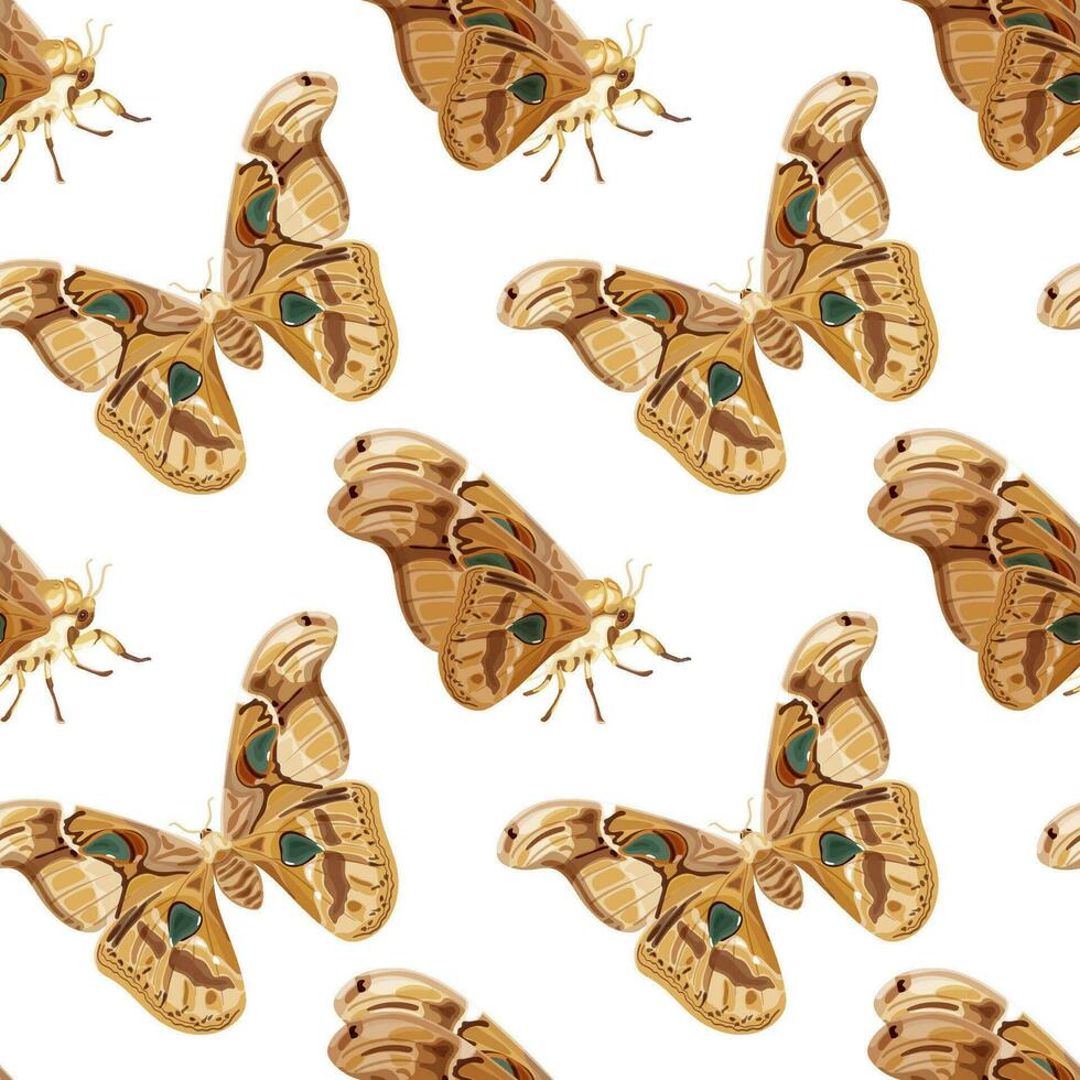 Seamless pattern with brown Atlas moth. Nocturnal tropical butterfly. vector