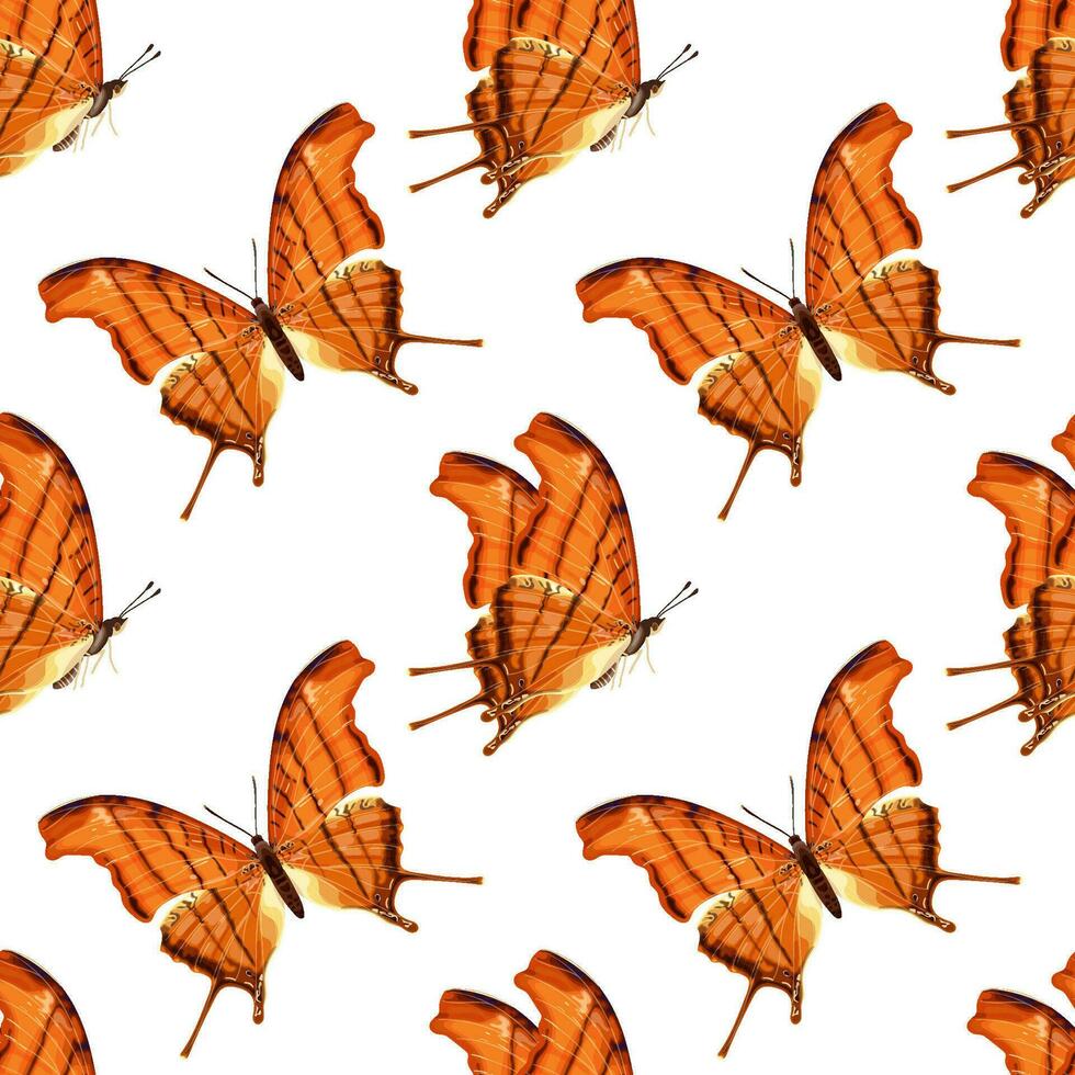 Seamless pattern with orange butterfly. Tropical insect. vector