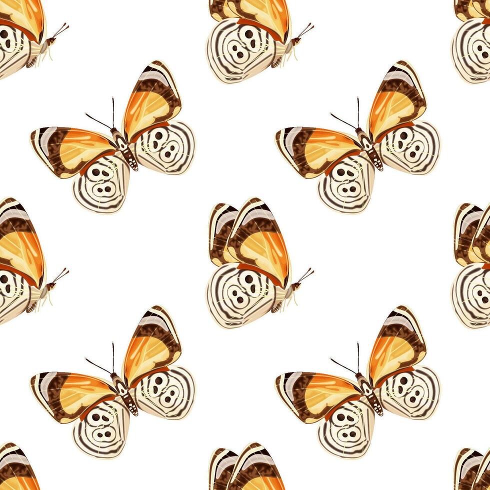 Seamless pattern with orange butterfly diaethria clymena. Tropical insect. vector