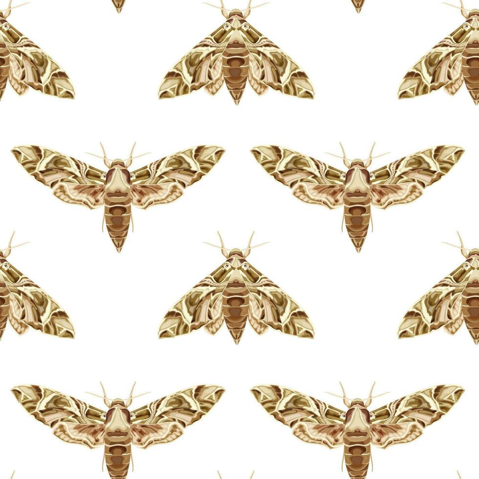 Seamless pattern with Oleander HawkMoth. Nocturnal tropical butterfly. vector