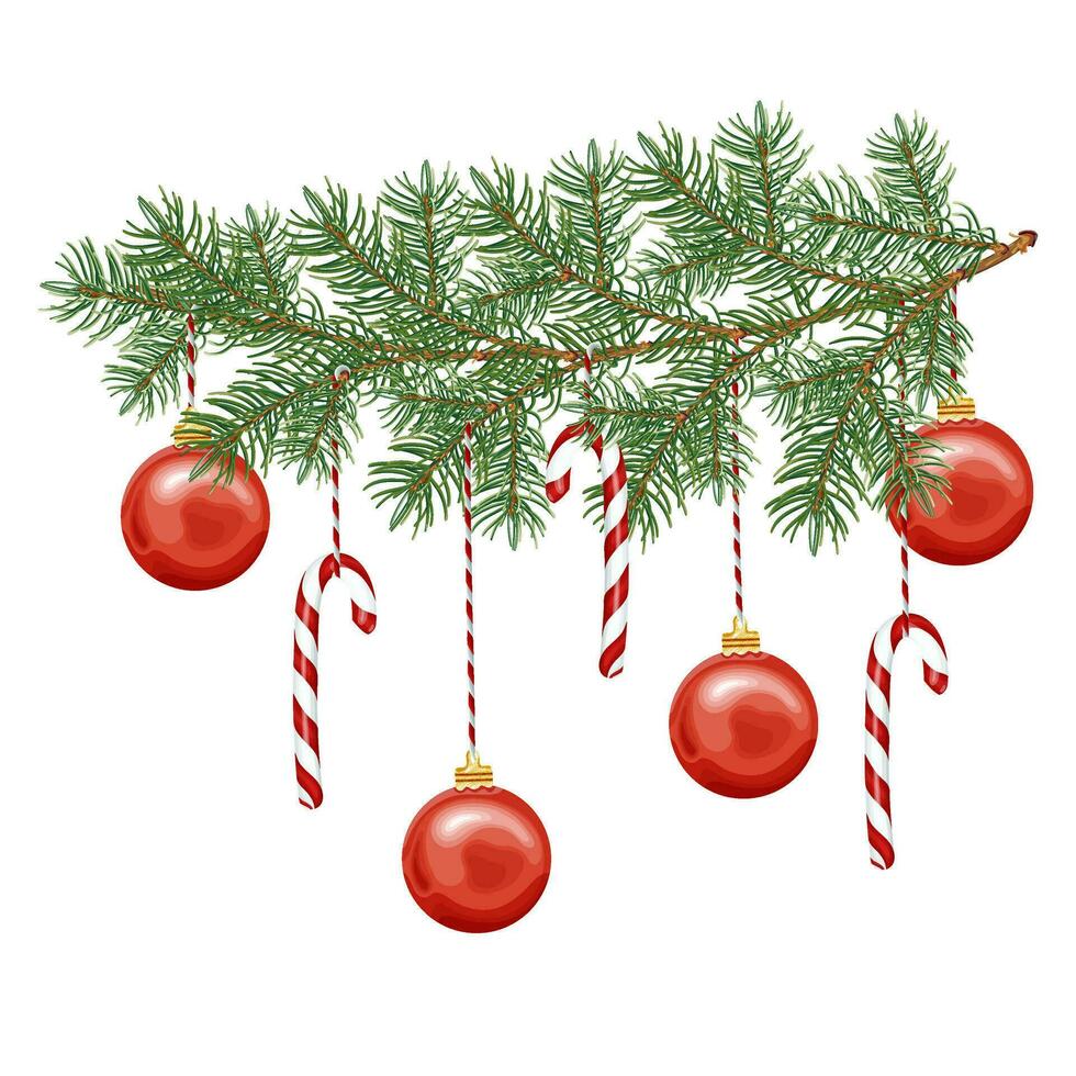 Christmas decoration. A Christmas tree branch decorated with toys, a red ball, a candy cane. vector