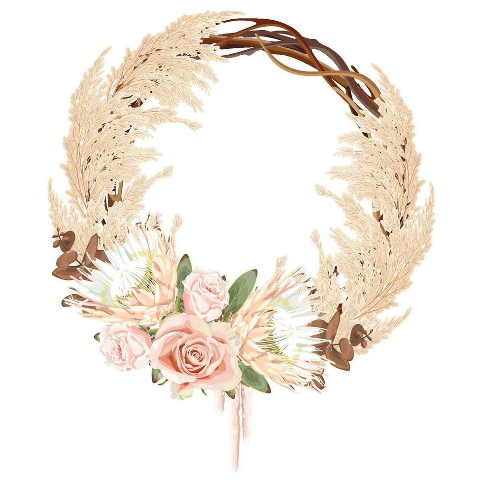 Boho, bohemian vine wreath with protea and rose flowers, eucalyptus leaves and dry reeds. vector