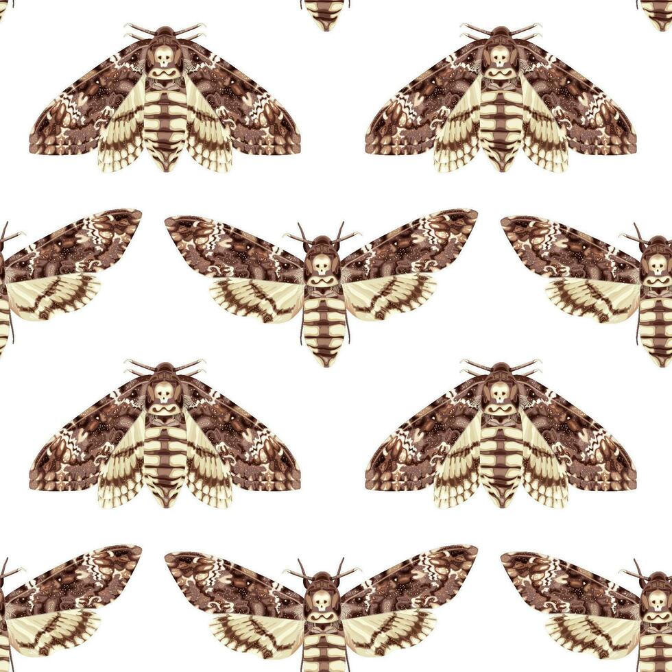 Seamless pattern with Deaths Head Hawk Moth. Nocturnal tropical butterfly. Mystical symbol. vector